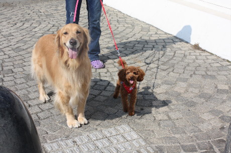 ファイル 1436-2.jpg