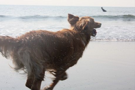 ファイル 1437-1.jpg