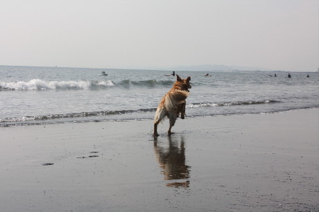 ファイル 1437-2.jpg