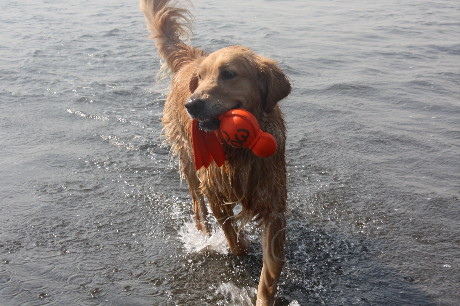 ファイル 1437-3.jpg