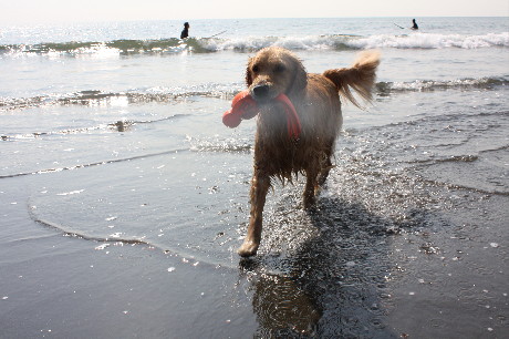 ファイル 1437-4.jpg