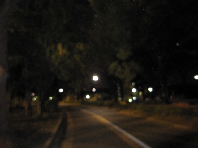 ファイル 1438-5.jpg