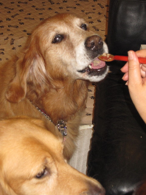 ファイル 1439-5.jpg