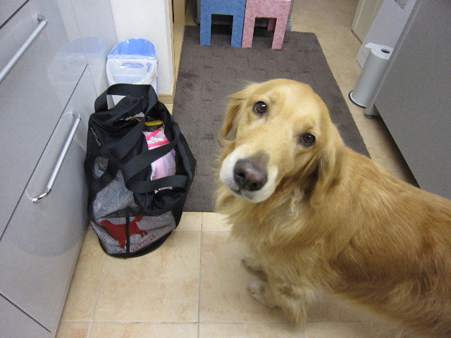 ファイル 1440-1.jpg