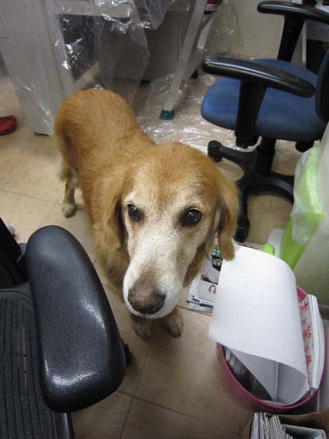 ファイル 1440-3.jpg