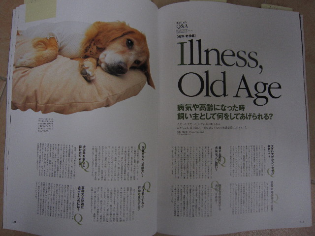 ファイル 1441-2.jpg