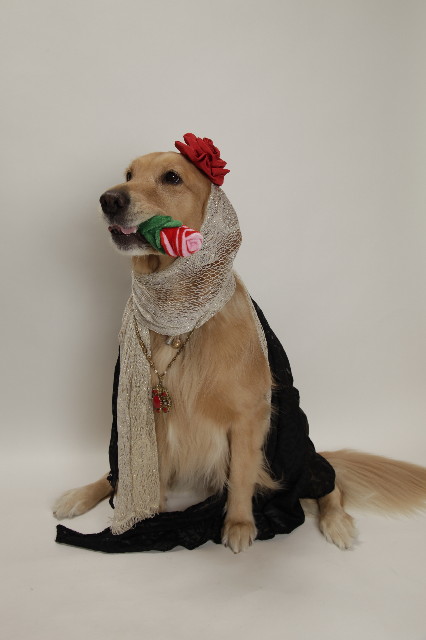 ファイル 1441-3.jpg