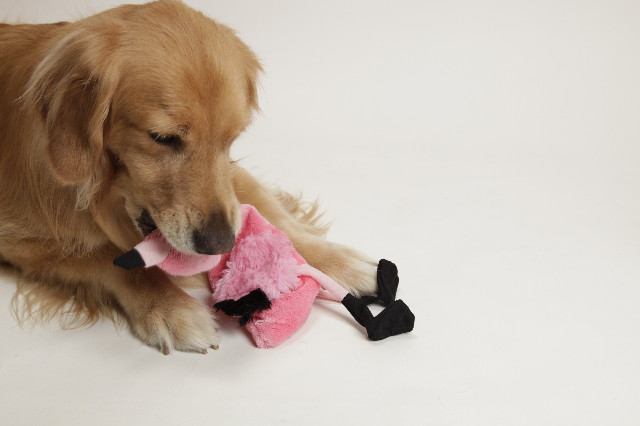 ファイル 1441-4.jpg