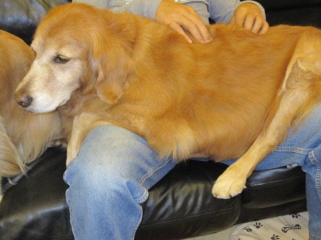 ファイル 1441-5.jpg