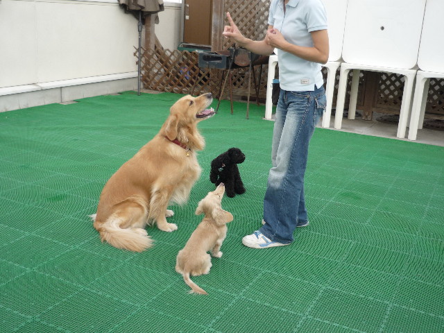 ファイル 1442-2.jpg