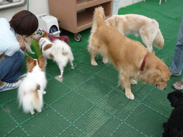 ファイル 1442-5.jpg