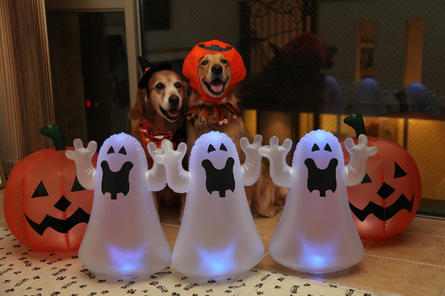 ファイル 1444-1.jpg