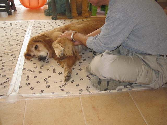 ファイル 1445-2.jpg