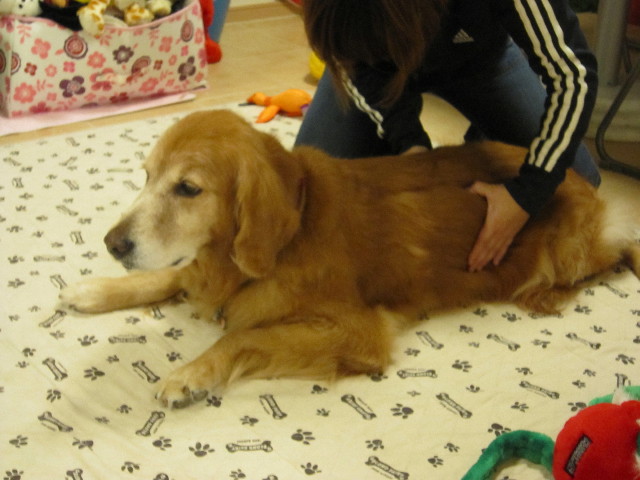 ファイル 1446-3.jpg