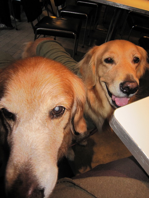 ファイル 1448-5.jpg