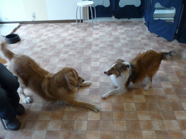 ファイル 1451-1.jpg