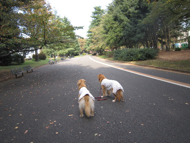 ファイル 1452-1.jpg