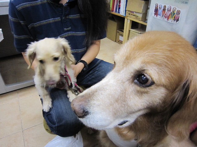 ファイル 1453-5.jpg