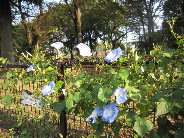 ファイル 1455-4.jpg