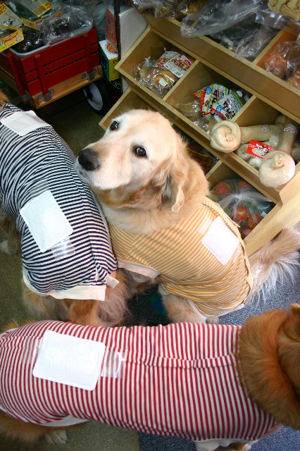 ファイル 1456-3.jpg