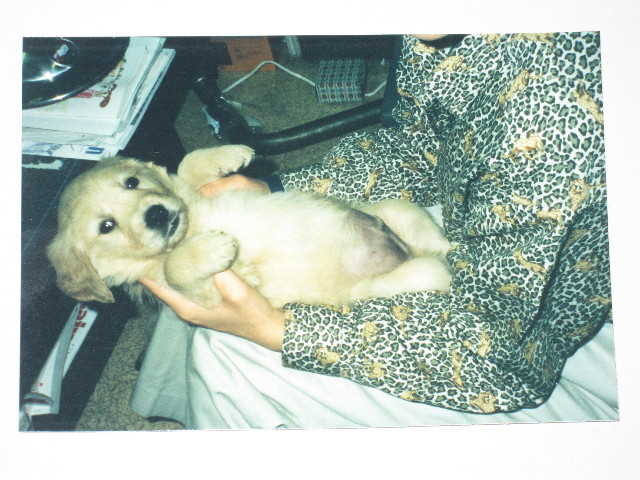 ファイル 1458-1.jpg