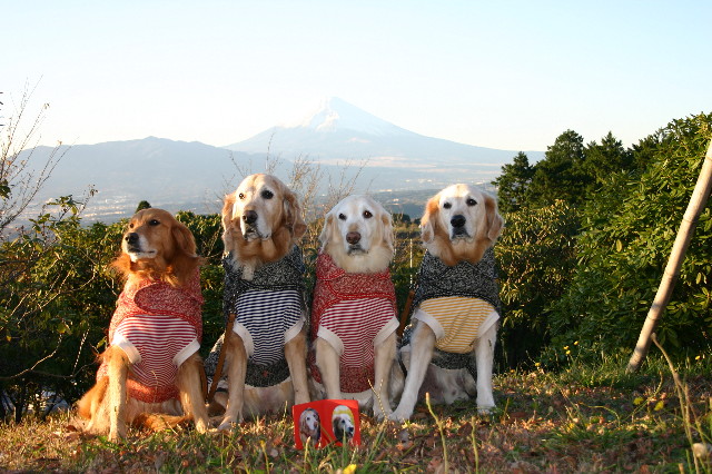 ファイル 1458-2.jpg