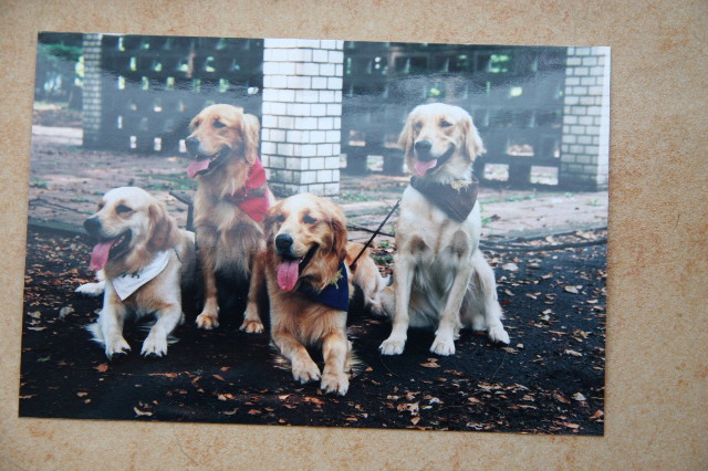 ファイル 1458-5.jpg