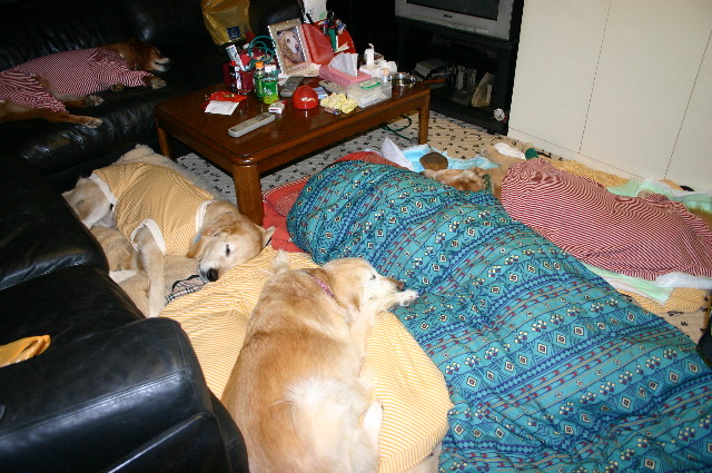 ファイル 1459-4.jpg