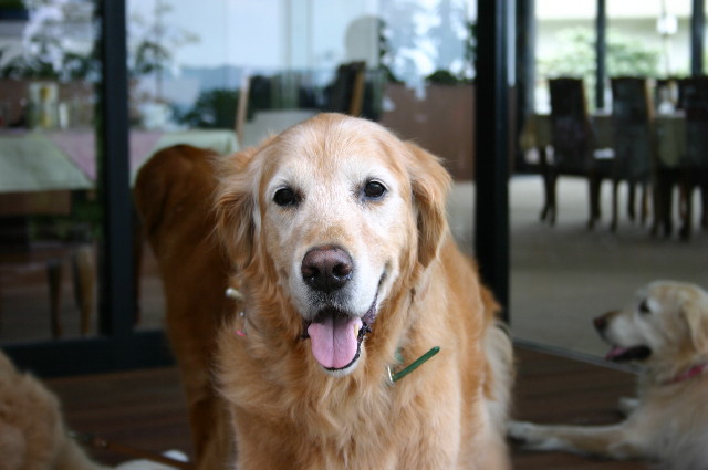 ファイル 1459-5.jpg