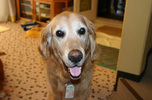 ファイル 1460-2.jpg