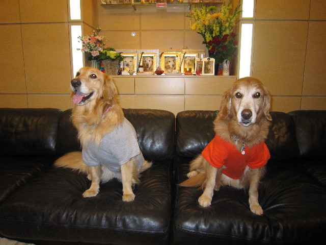 ファイル 1460-3.jpg