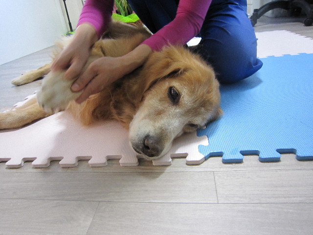 ファイル 1461-2.jpg