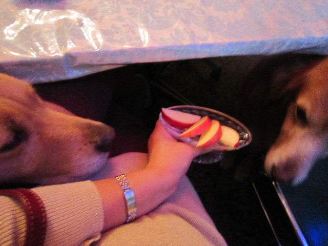 ファイル 1462-4.jpg