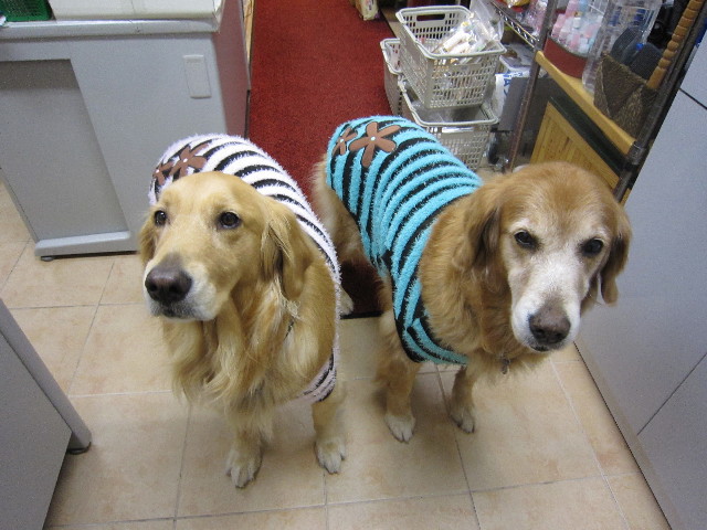 ファイル 1463-1.jpg