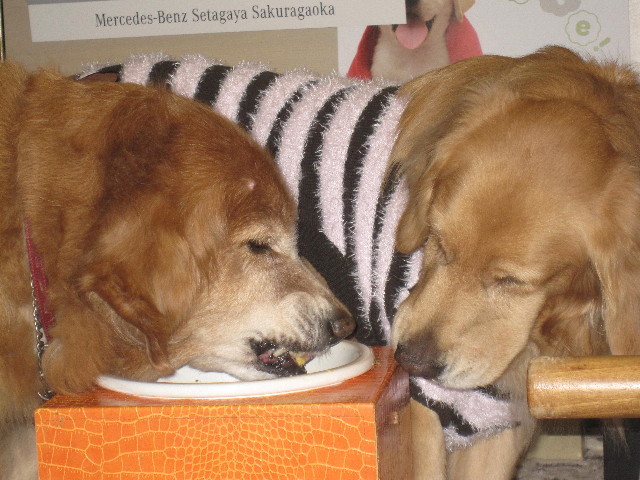 ファイル 1463-3.jpg