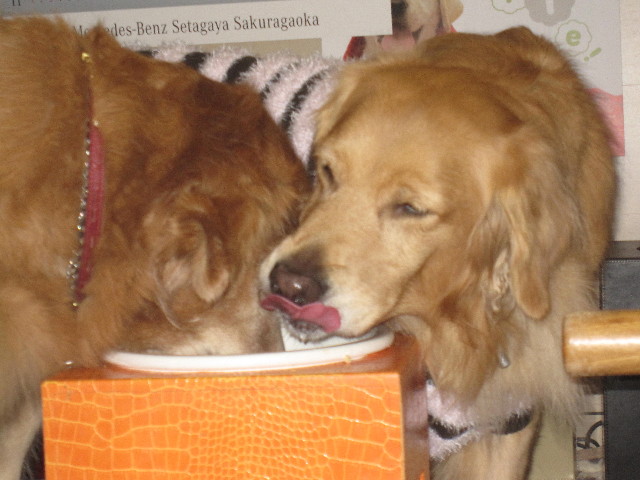 ファイル 1463-4.jpg