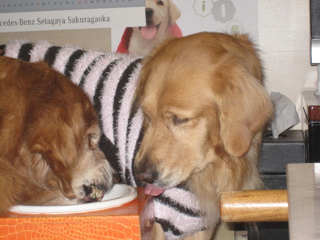 ファイル 1463-5.jpg