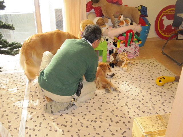 ファイル 1464-1.jpg