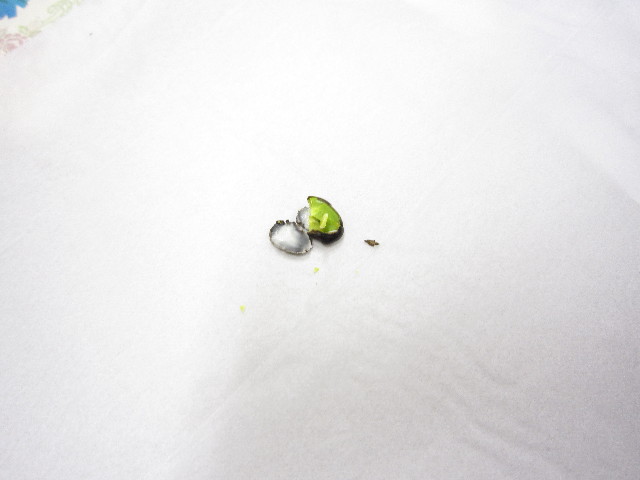 ファイル 1464-4.jpg