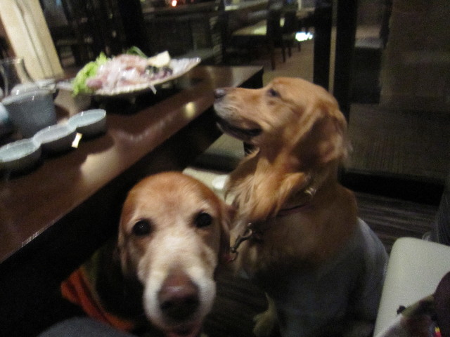 ファイル 1465-1.jpg