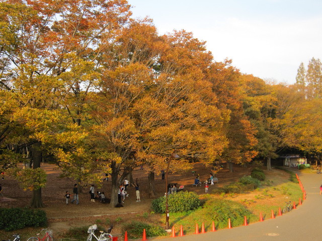 ファイル 1466-1.jpg