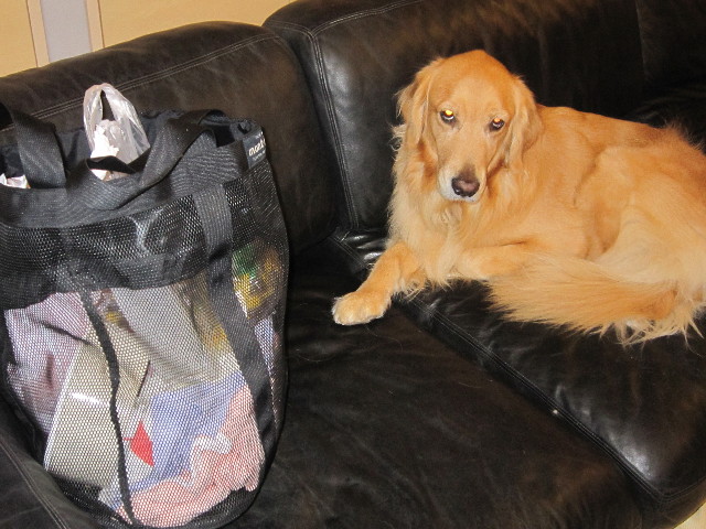 ファイル 1468-2.jpg