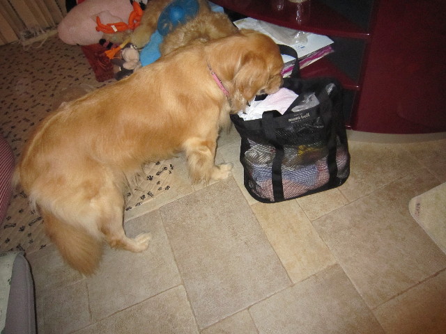 ファイル 1468-3.jpg