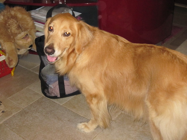 ファイル 1468-4.jpg