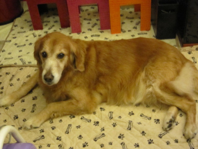 ファイル 1468-5.jpg