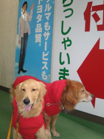 ファイル 147-3.jpg