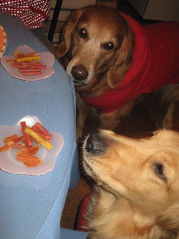 ファイル 147-5.jpg