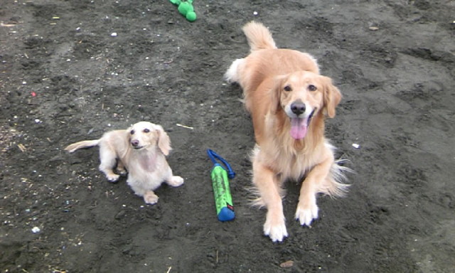 ファイル 1470-3.jpg