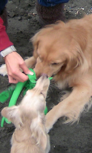 ファイル 1470-4.jpg