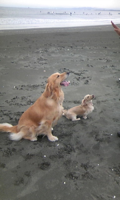 ファイル 1470-5.jpg